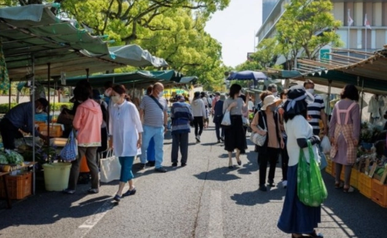 日本高知交通方式