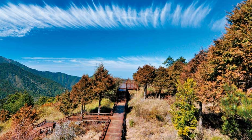 國家公園 森林遊樂區 差異