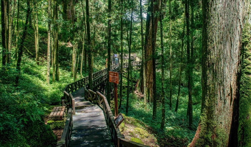 國家森林遊樂區門票