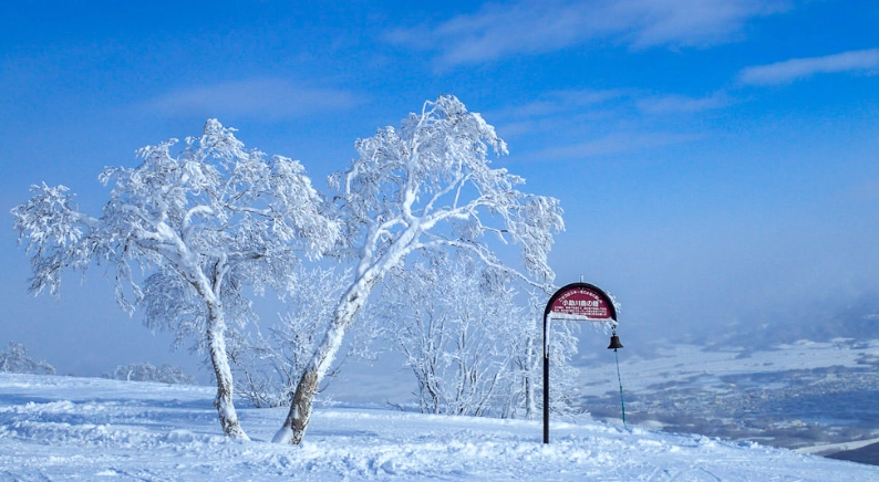 二世谷滑雪場開放時間