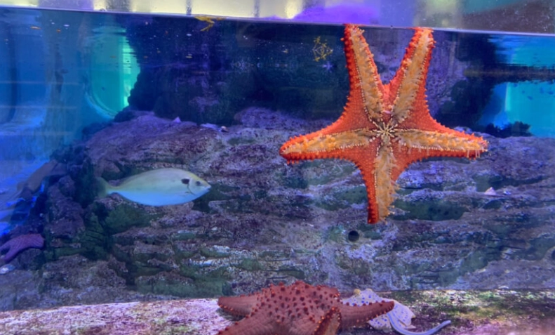 海洋科技博物館