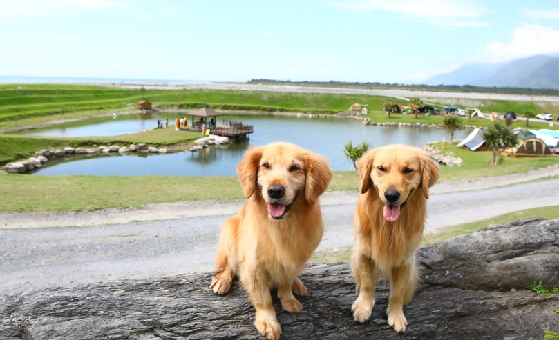 寵物友善民宿