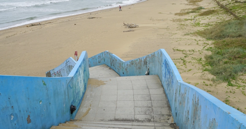 新北市寵物友善景點