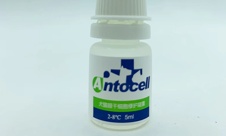 貓角膜潰瘍治療