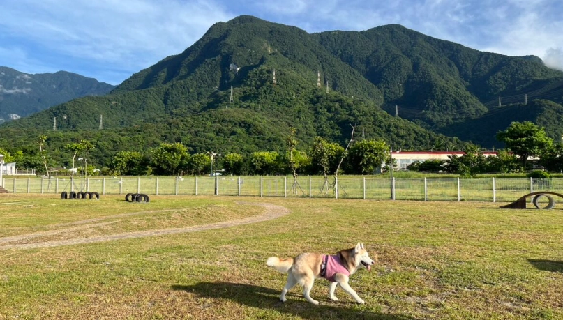帶狗旅遊花蓮