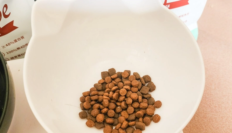 貓飼料推薦
