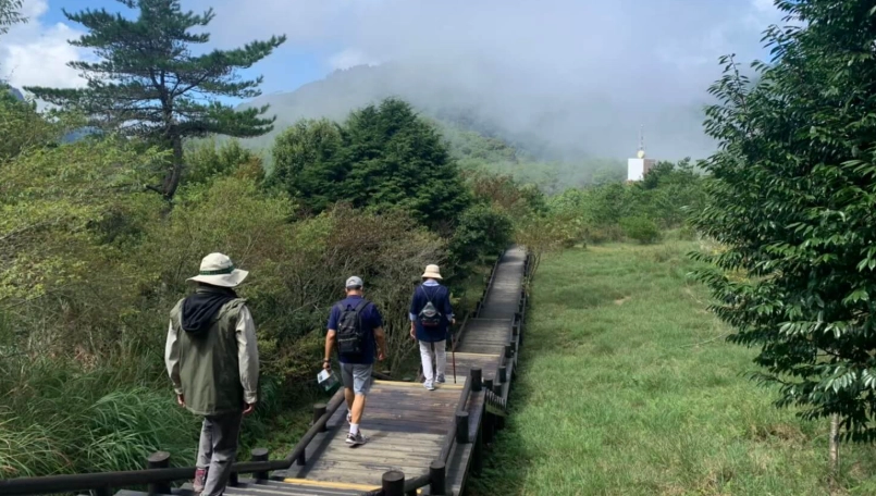 台灣好行觀霧線