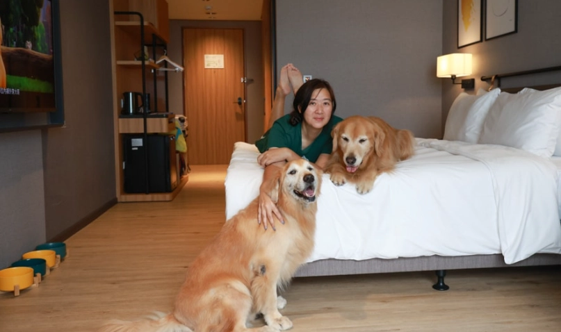 嘉義寵物友善住宿