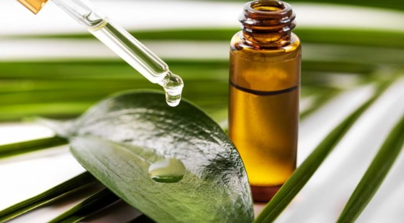 天然驅疥蟲方法