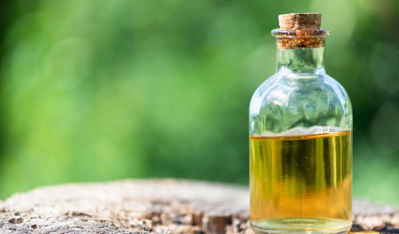 茶籽油治療濕疹