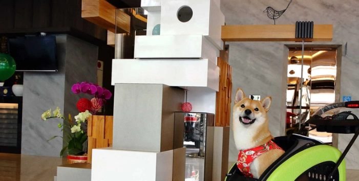 嘉義市區寵物旅館