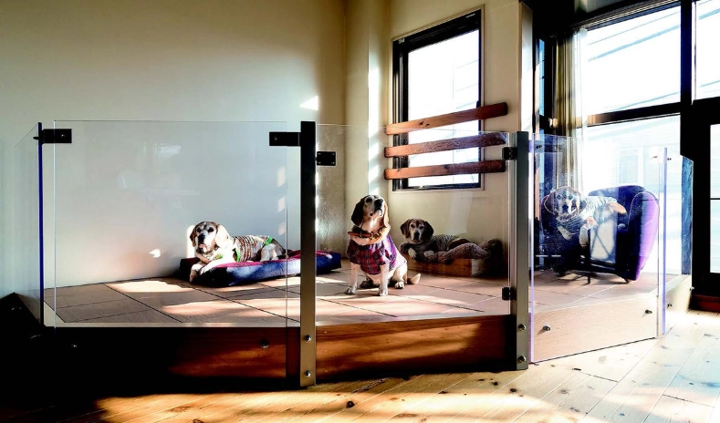 室內狗狗活動區