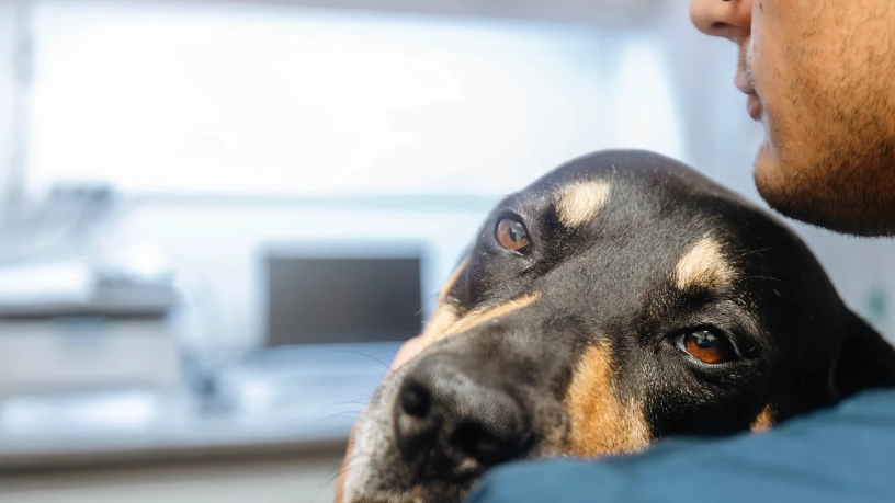 胰臟炎復發預防