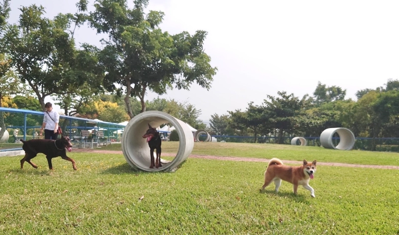 寵物友善公園