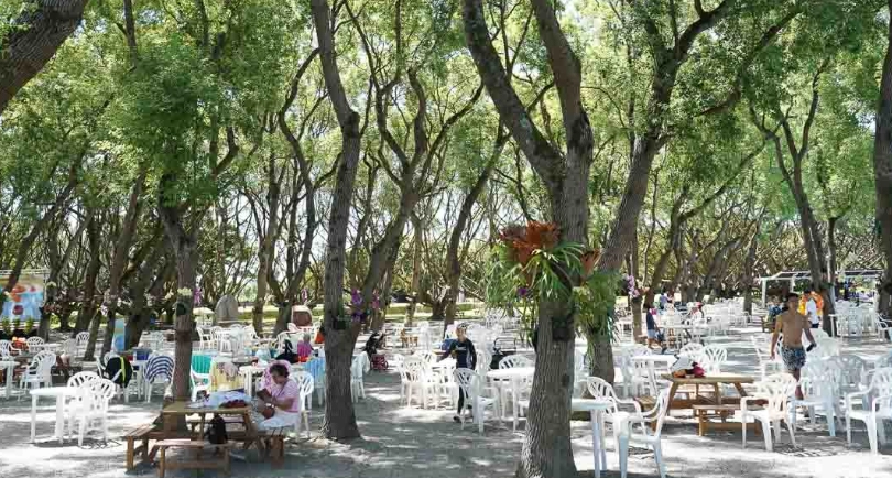 室內狗狗活動區