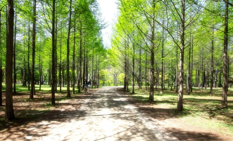 韓國一日遊行程