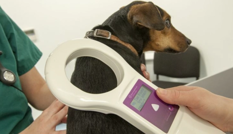 寵物晶片副作用