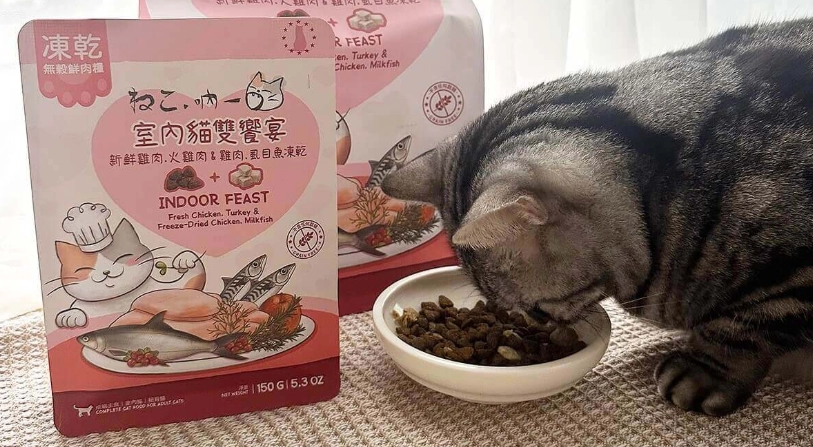 貓飼料推薦