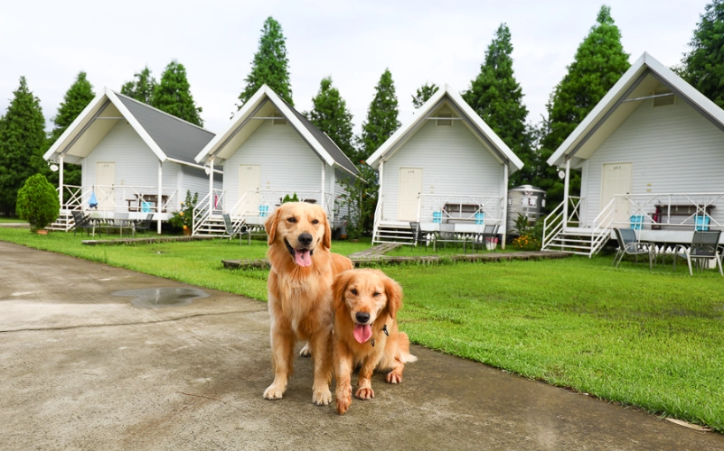 嘉義帶寵物住宿