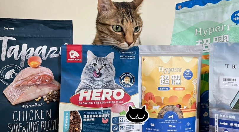 貓飼料推薦